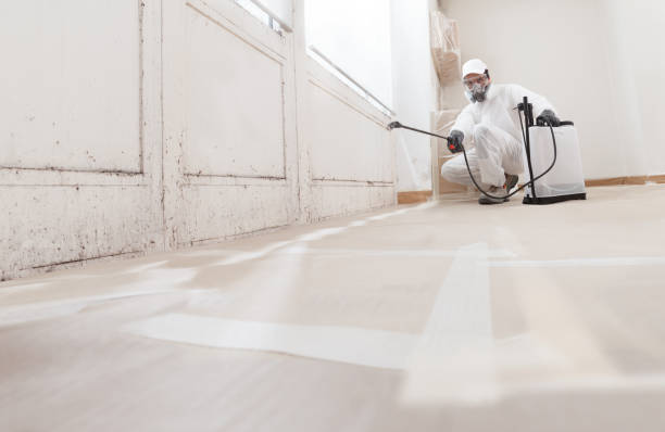 24/7 Emergency Mold Remediation experts in Perkasie, PA