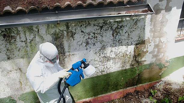 Top rated local Mold Remediation specialists in Perkasie, PA